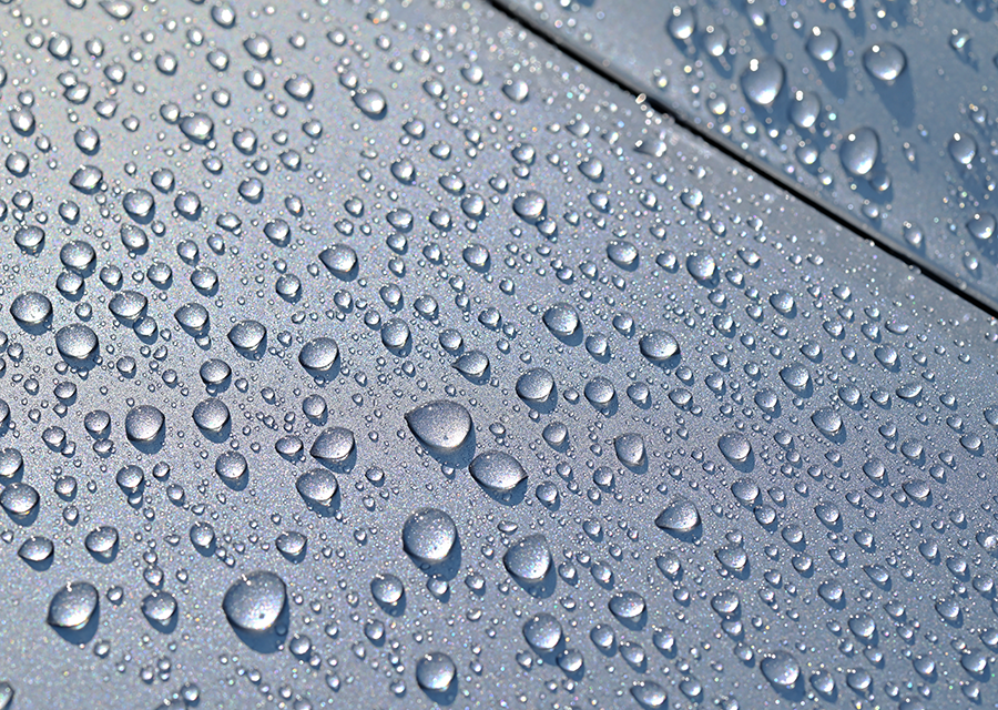 ボディコーティング